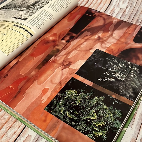 The Exuberant Garden and the Controlling Hand - Picture 6 of 16